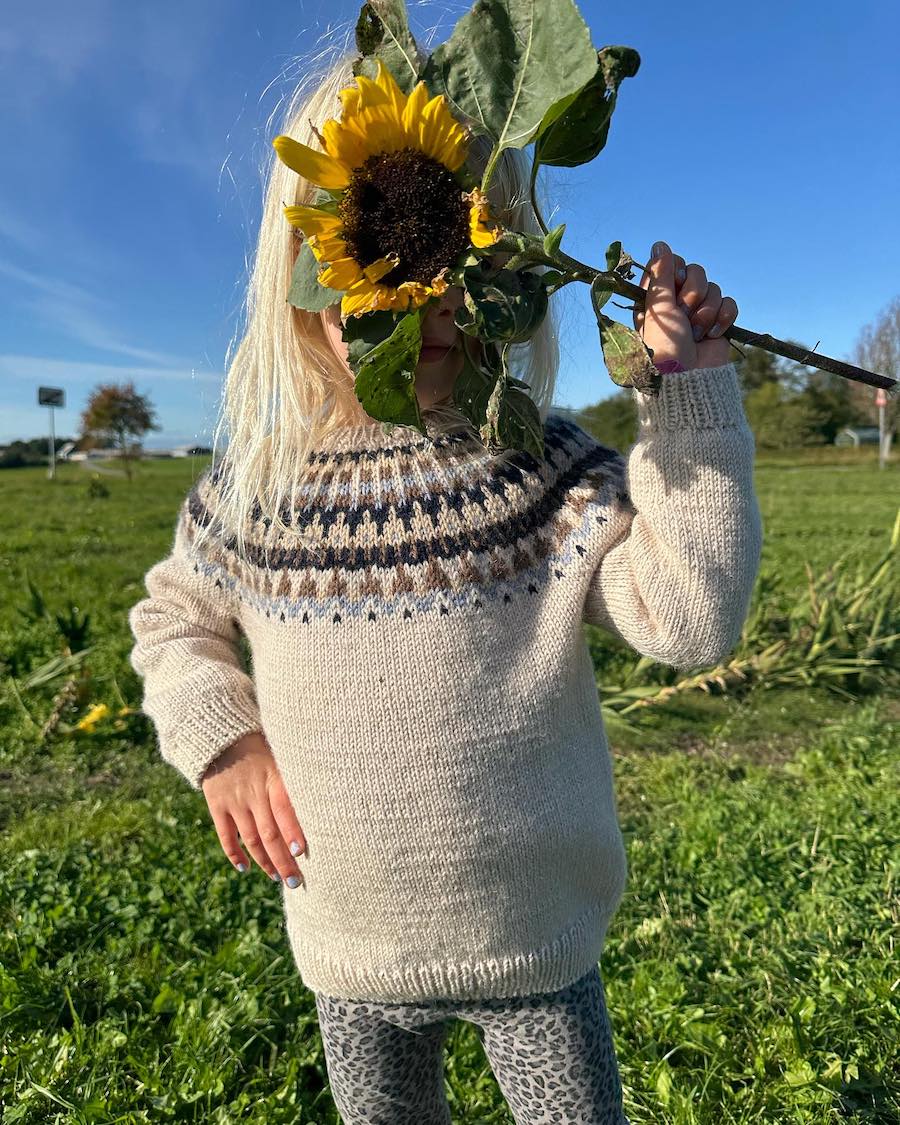 Celeste Sweater Junior garnkit [Peer Gynt]