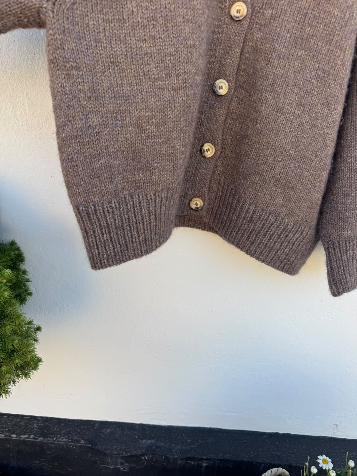 Champagne Cardigan garnkit [Isager Jensen/Isager Silk mohair]